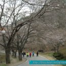 김순애산부인과 이미지