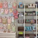 수지애견 이미지