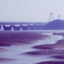 들물 Daum카페