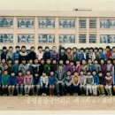 송정중앙초등학교 이미지