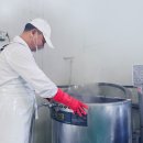 비트 | 청룡농원 제주산 레드비트즙 후기