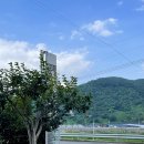 지리산에덴하우스 이미지