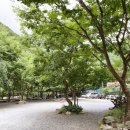 샛들민박 이미지