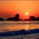 아모르(Amor) 이미지