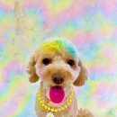 동선유치원 이미지