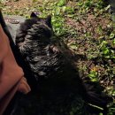 (주)모모 | 가평 모모카페 노지캠핑 | 장마에 살아남은 리얼 후기 (강가 캠핑 주의)