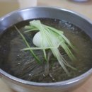 솔베르크 네이버블로그