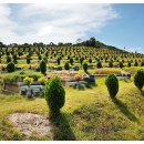 강원장의사 이미지