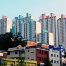 단지내문부동산중개2 | 이런 부동산 가야 사기를 안 당한다?