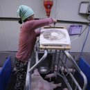 이선영농장 이미지