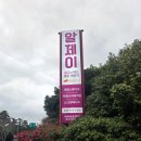알고느끼는제주이야기