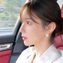 야옹이헤어 스포티비뉴스