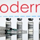 로블록스코리아 유한회사 이미지