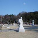 들꽃사랑 이미지