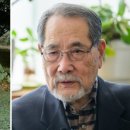 파밍팜