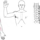 이즈메디의원 이미지