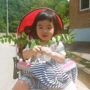 구미골민박 네이버블로그
