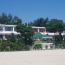 호법초등학교 이미지