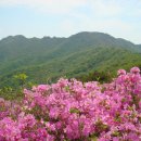 제73차 황매산 정기산행(산행완료) 이미지