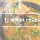 산동흑염소 이미지