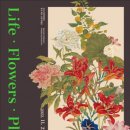 화정박물관 이미지