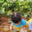 원이네농장 이미지