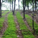 이미순농장 이미지