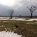 용눈이펜션 이미지