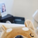 보스톤튼튼치과의원 이미지