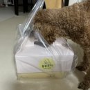 용송쿠키 이미지