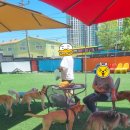 힐링몽 네이버블로그