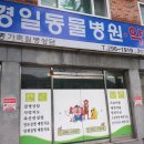 경일 동물병원 이미지