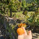 카페삼랑 이미지