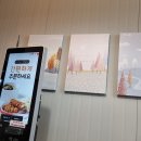 돈카츠모 이미지