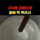 구내염 영양제 구내염 빨리 낫는 법 이미지