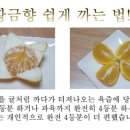 황금향 이미지