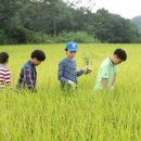 능실초교 이미지