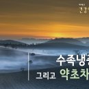 태백산건강원 - 영월군 중앙1로 36 | 태백산건강원