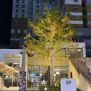 퍼프.아케이드커피 이미지