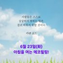 에코건강