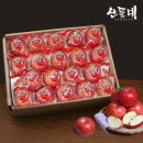 산들내과일 쇼핑하우