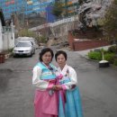 다물이네 이미지