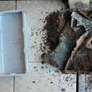 공항로LPG충전소 이미지