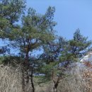 경남부동산공인중개사사무소 이미지