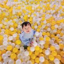 용인 기흥 파티룸 있는 대형키즈카페 허니펀키즈파크 추천