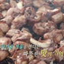 한국인의 밥상 부산 자갈치시장 곰장어 연탄구이 노포 연탄불싼꼼짱어 맛집 식당 위치