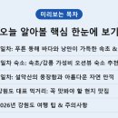 영진카서비스 | 강원도 1박 2일: 바다와 산을 모두 즐기는 완벽 여행 코스 (2026년 최신)