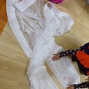 은화커텐