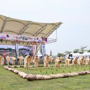 함께하다 이미지