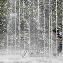 바닥분수 이미지